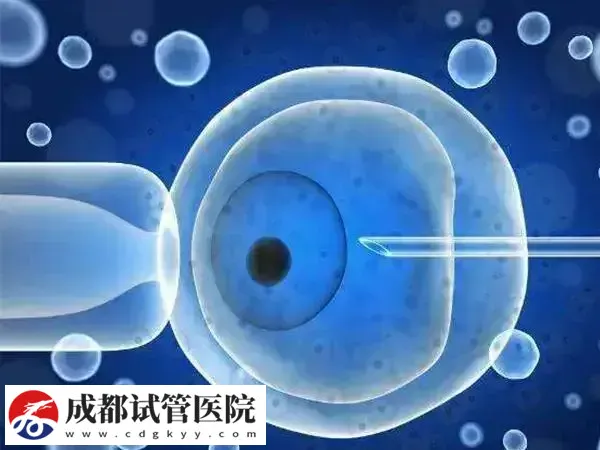 试管移植第五天有水流出是否算是成功(图2) 试管移植第五天有水流出是否算是成功(图2)