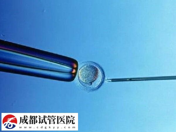 试管移植hrt方案成功率高不高(图1) 试管移植hrt方案成功率高不高(图1)