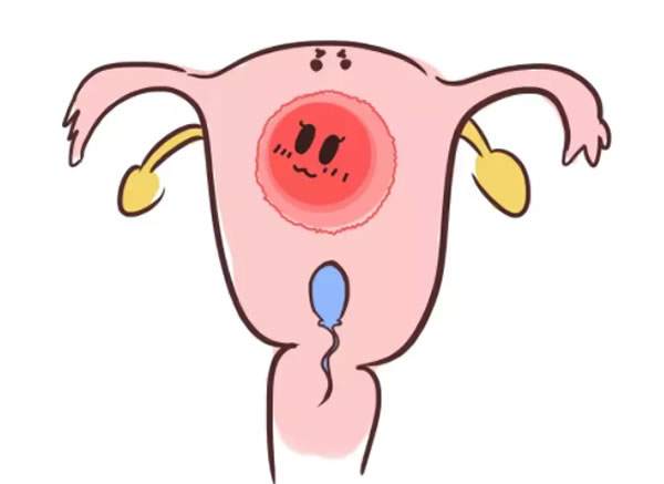 用怀孕症状判断胎儿性别准确吗？如何判断怀的是男宝还是女宝？(图1)