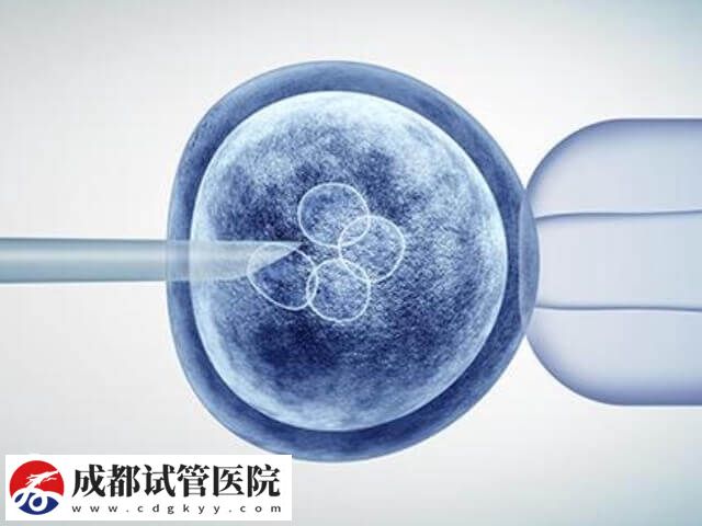 40岁AMH1点多能不能试管怀孕(图1) 40岁AMH1点多能不能试管怀孕(图1)